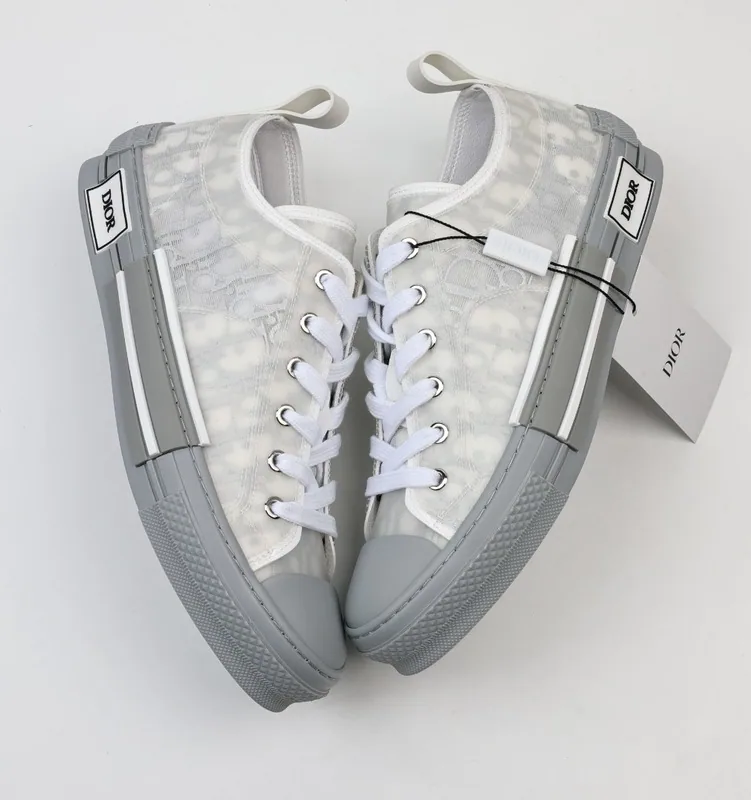 Dior B23 Low Gray