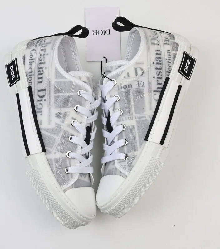 Dior B23 Low X Daniel Arsham