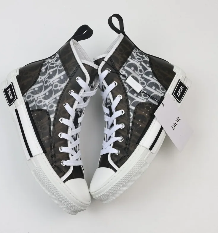 Dior B23 Oblique