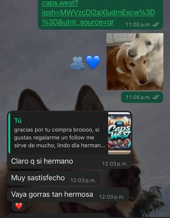 Referencia Sauce Store