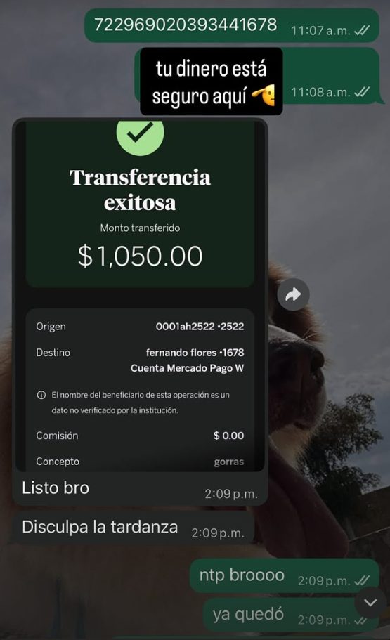 Referencia Sauce Store