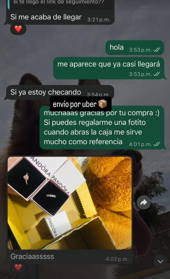 Referencia Sauce Store