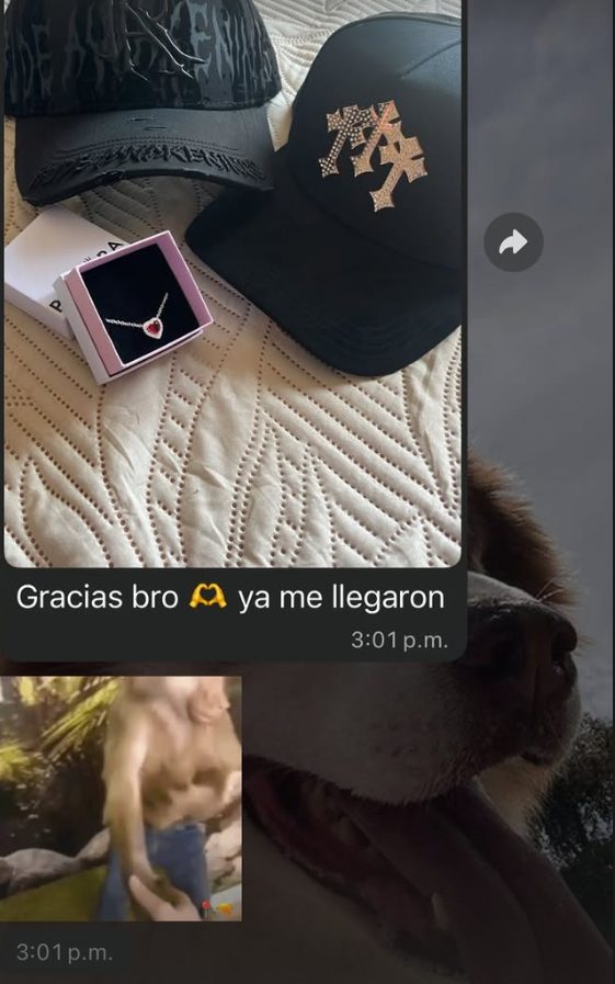 Referencia Sauce Store