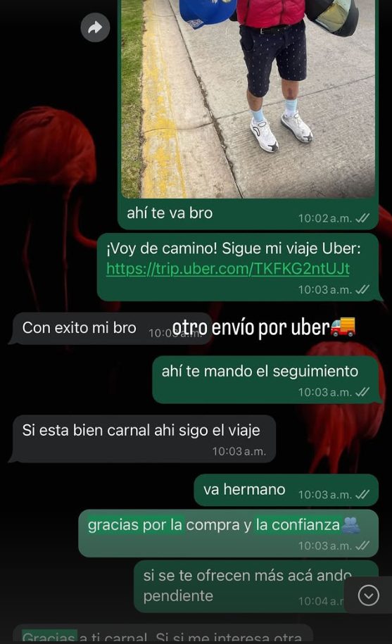 Referencia Sauce Store