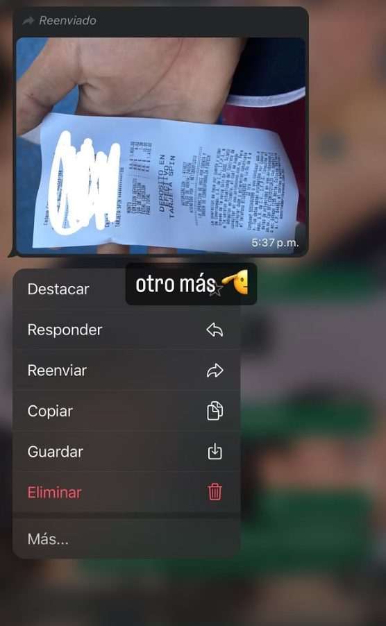 Referencia Sauce Store