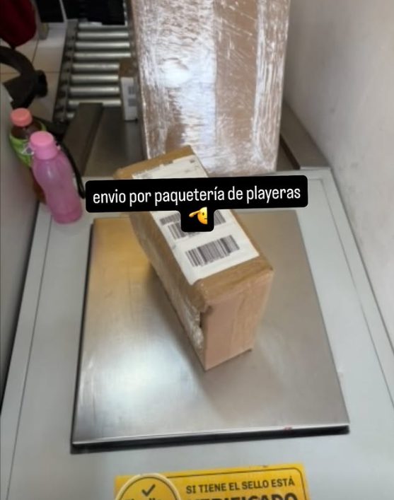 Referencia Sauce Store