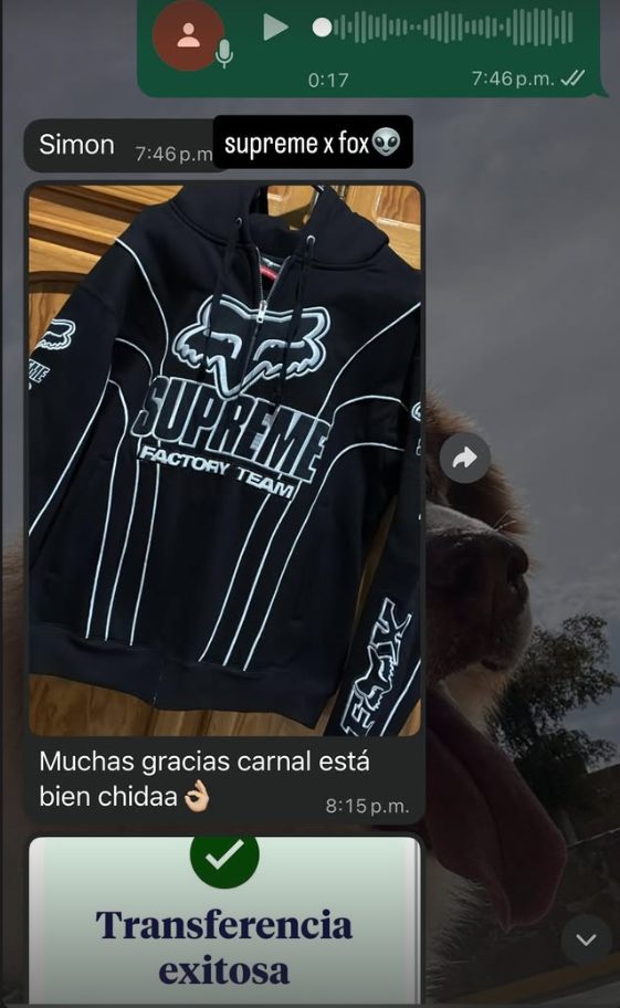 Referencia Sauce Store