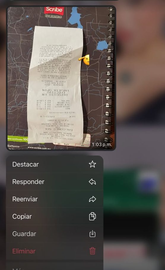 Referencia Sauce Store